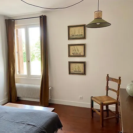 Olive - Centre 多维尔