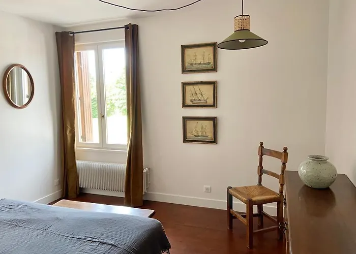 Olive - Centre דוביל